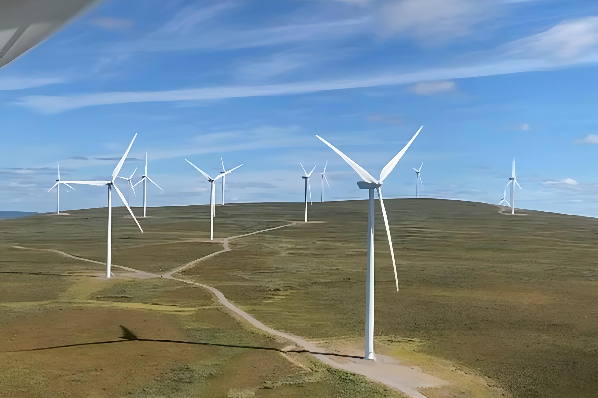 Ett stort öppet fält med flera vindkraftverk mot en klarblå himmel
